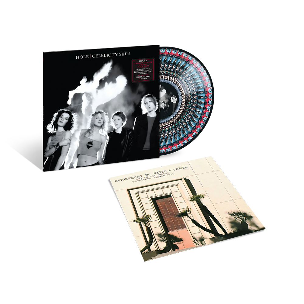 貴重 Hole - Celebrity Skin Limited Edition Hole - Hole - Celebrity Skin (Limited Edition Zoetrope) LP - The