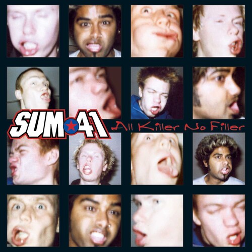 SUM 41/All Killer No Filler/2001オリジナル盤LP All Killer No Filler - The Sound of Vinyl