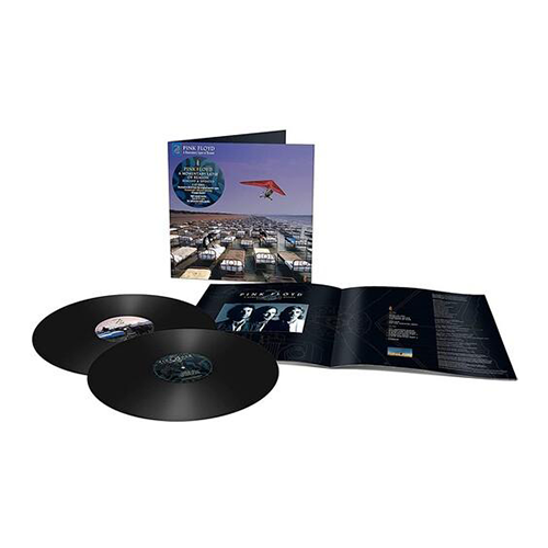 Momentary Lapse of Reason - The Sound of Vinyl