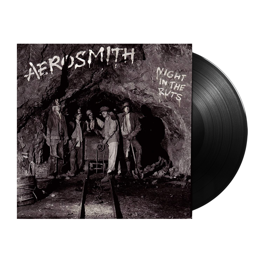 Aerosmith store Vinyl