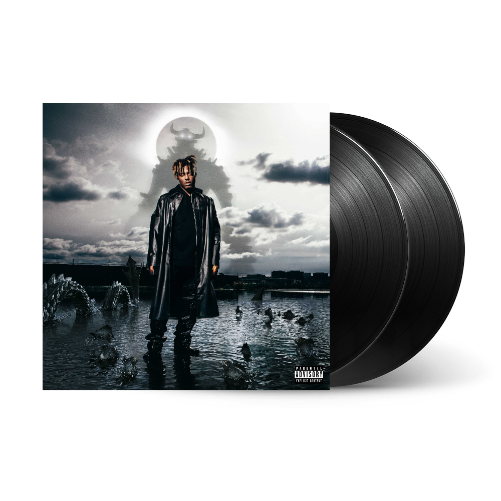 Fighting Demons 2LP