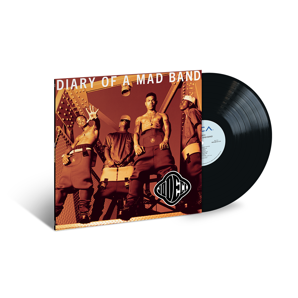 Diary Of A Mad Band (LP)