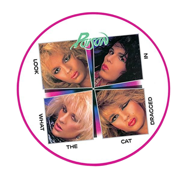 Look What The Cat Dragged In (Picture Disc) 1LP