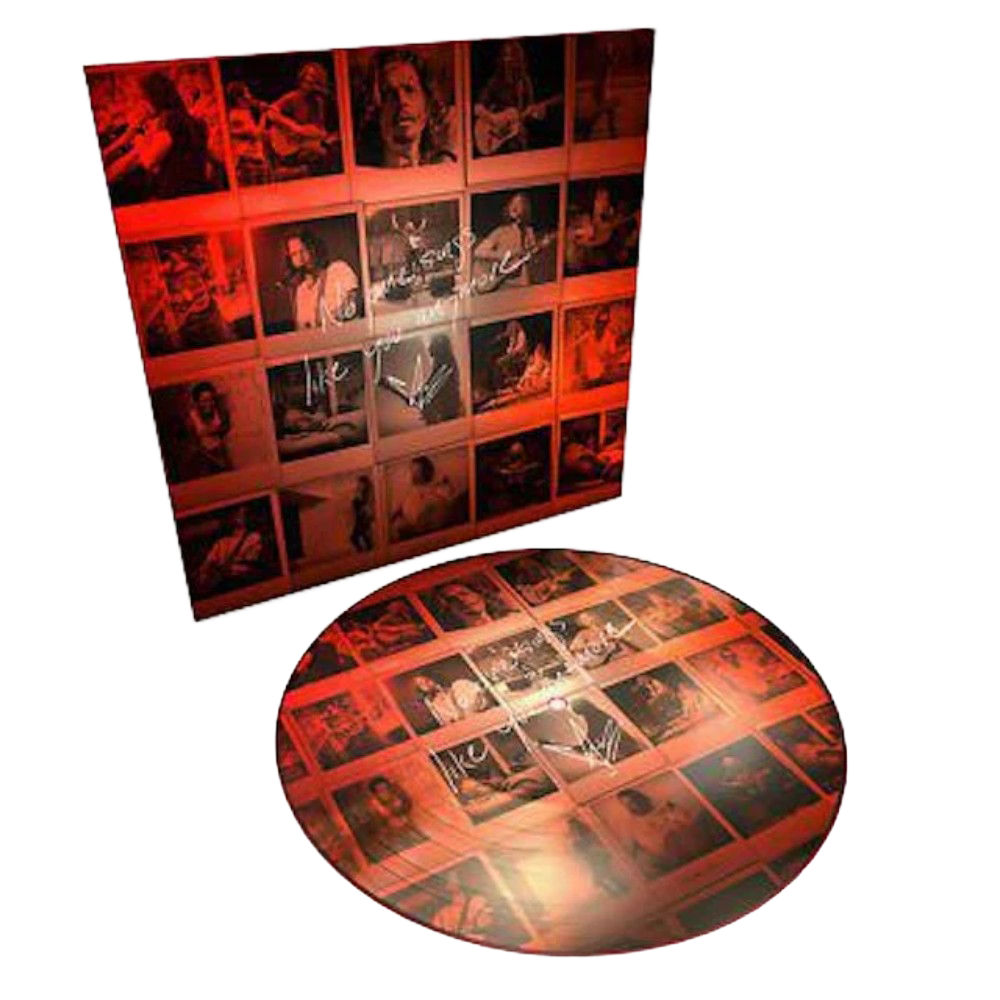 No One Sings Like You Anymore Picture Disc LP