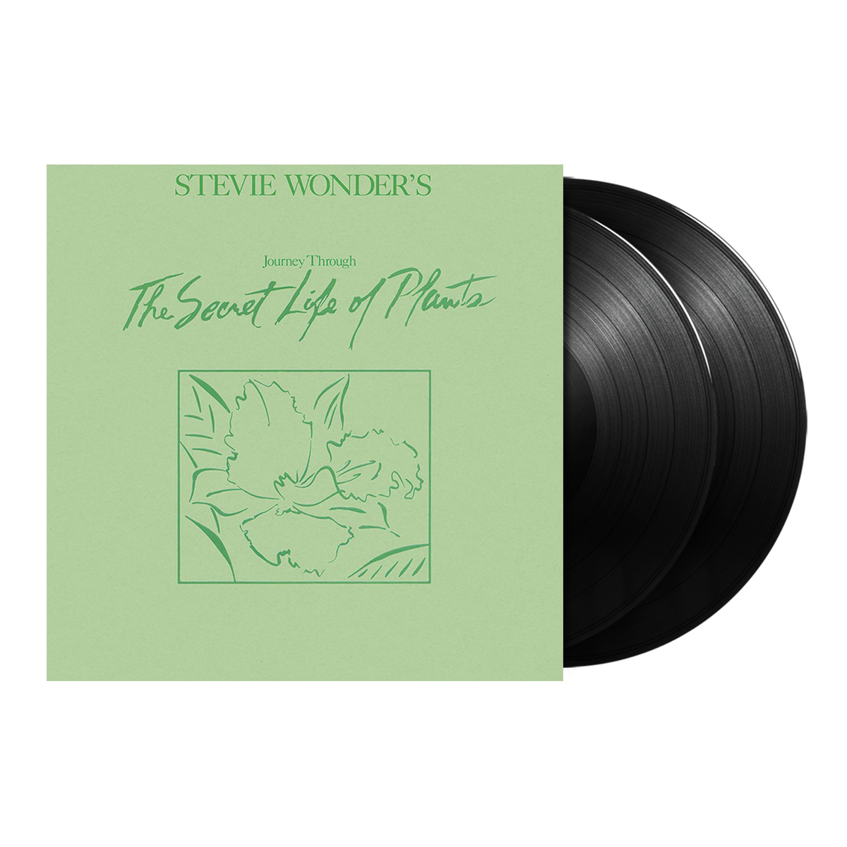 Journey Through The Secret Life Of Plants 2LP