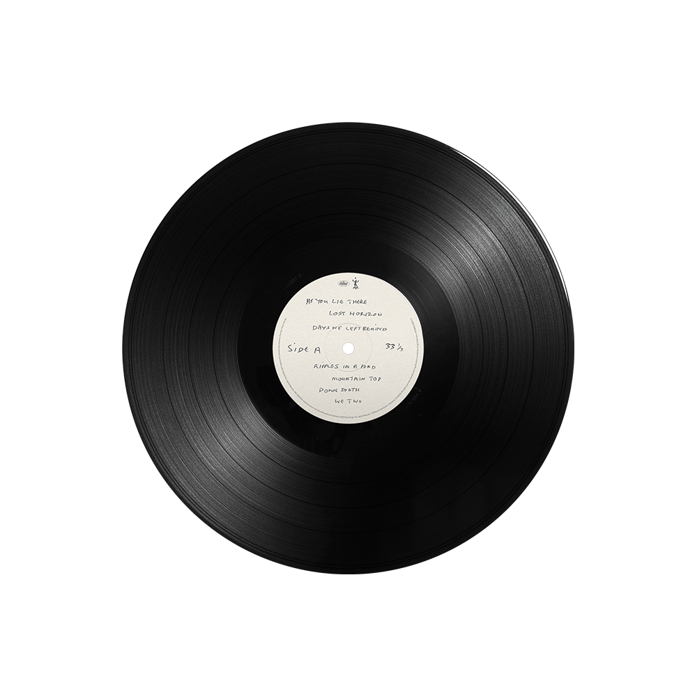 The Boys Of Dungeon Lane - LP Disc