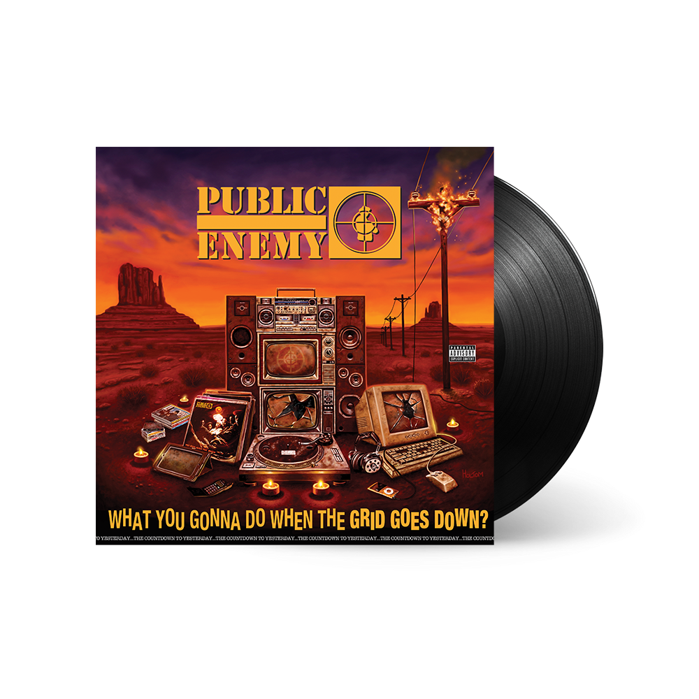 What You Gonna Do When The Grid Goes Down LP