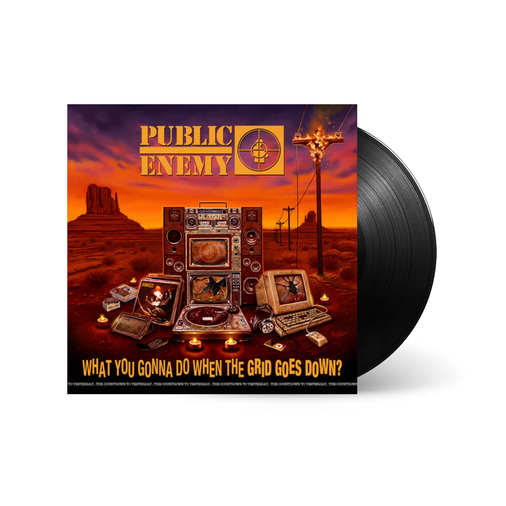 What You Gonna Do When the Grid Goes Down 1LP