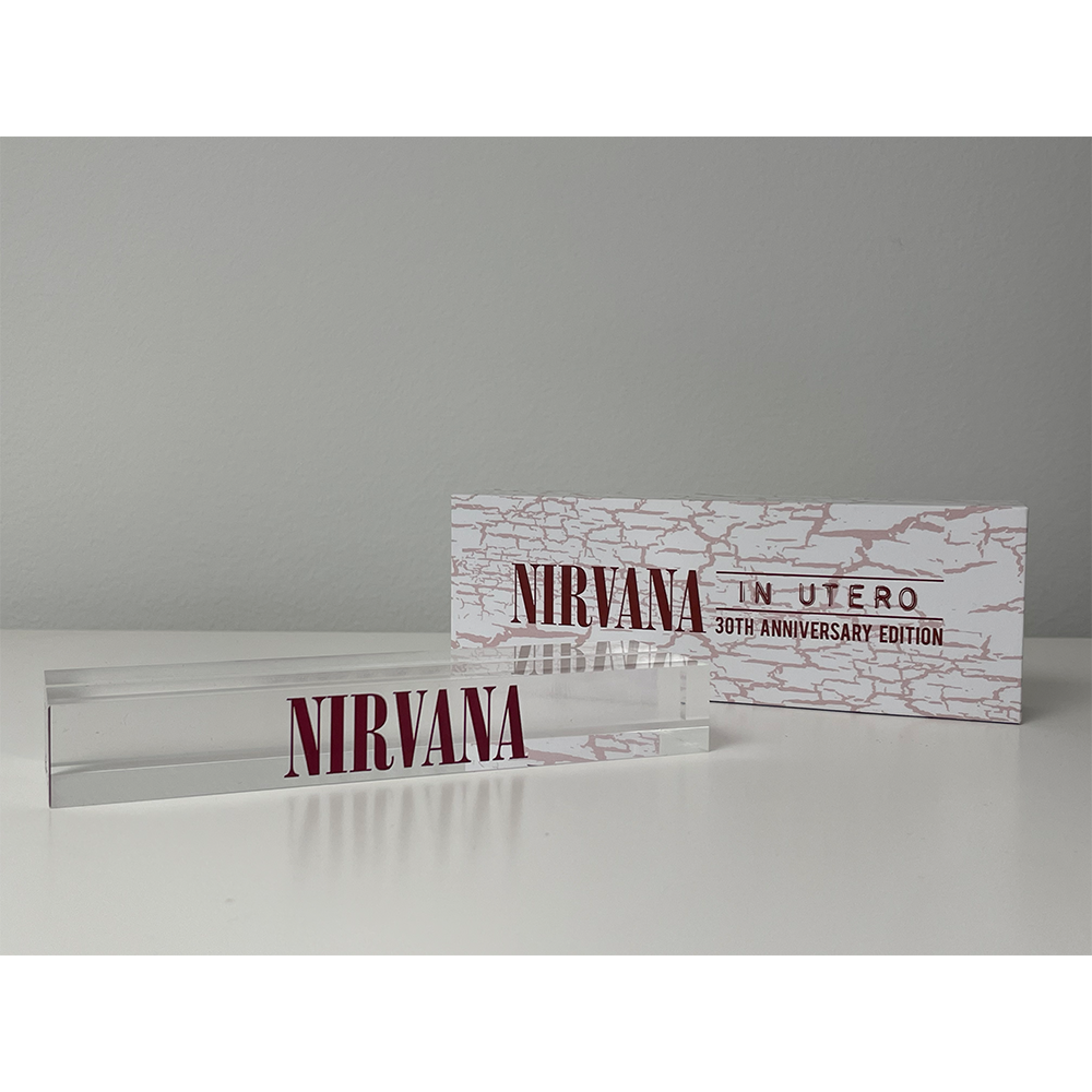 In Utero 30th Nirvana Acrylic Stand