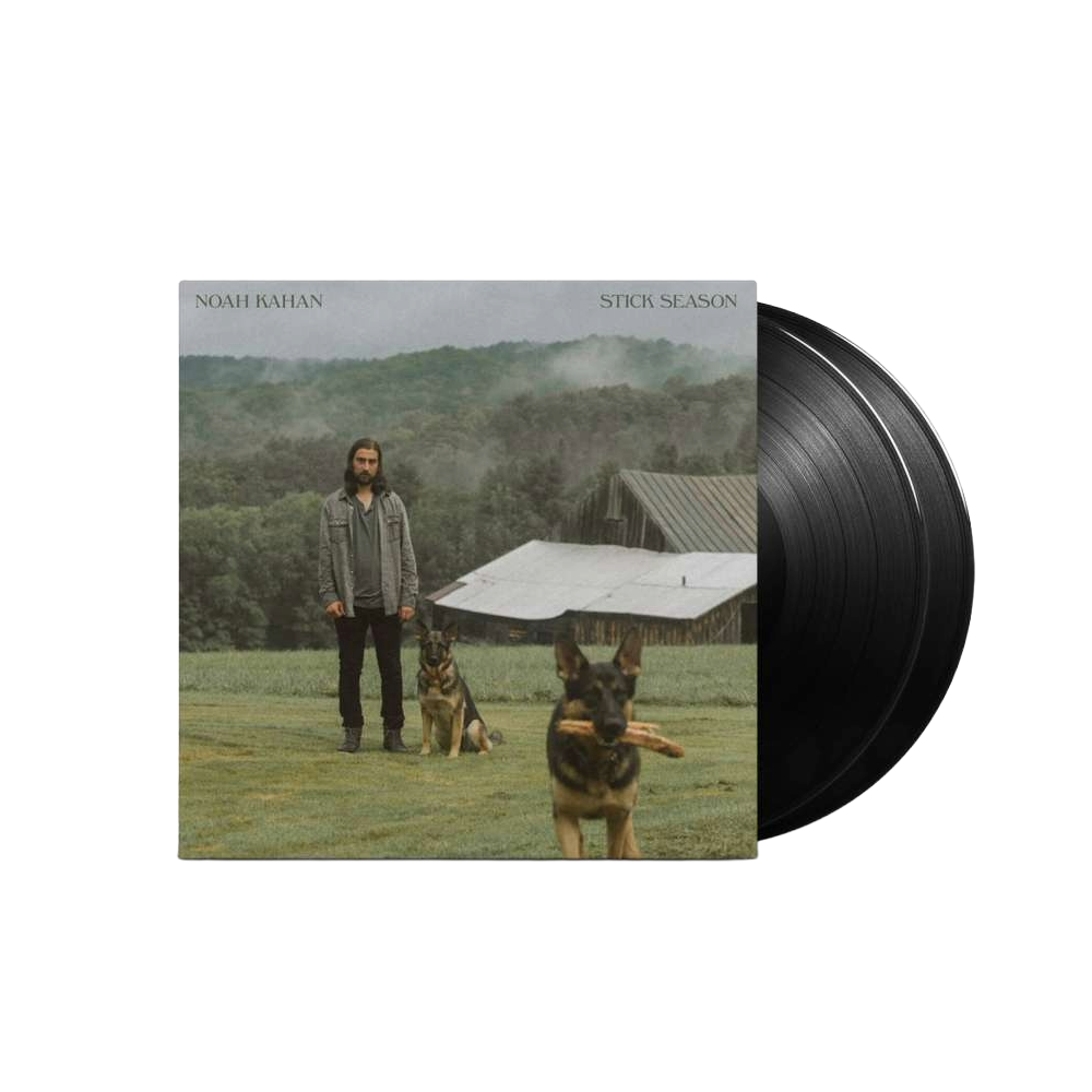 Stick Season 2LP