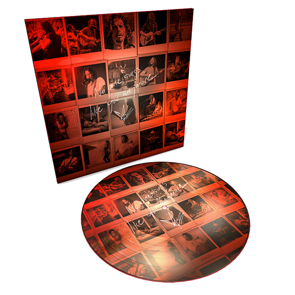 No One Sings Like You Anymore Picture Disc 1LP