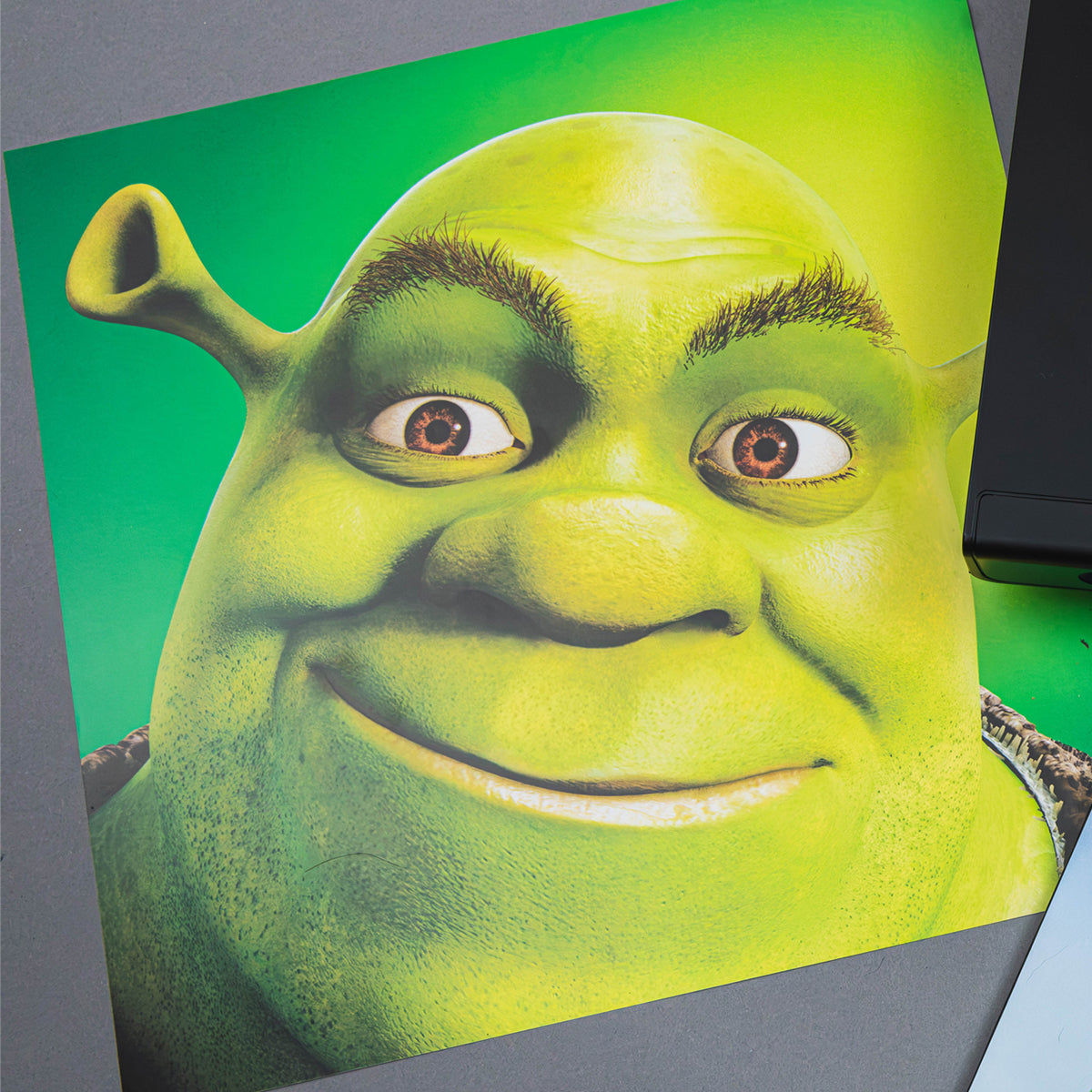 Shrek - Music From The Original Motion Picture (25th Anniversary Limited Edition "Swamp Juice" Green Liquid-Filled Vinyl)