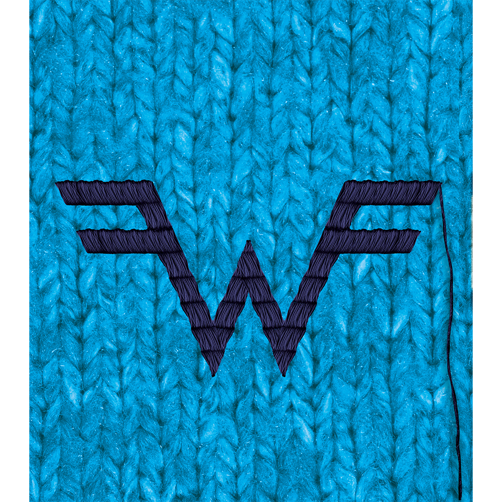 Weezer (Blue Album) 30th Anniversary Super Deluxe Edition Detail