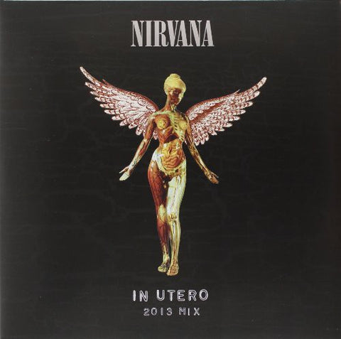 What Is the Meaning Behind Nirvana's 'In Utero' Album Title?