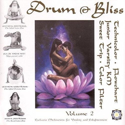 Drum & Bliss 2 / Various