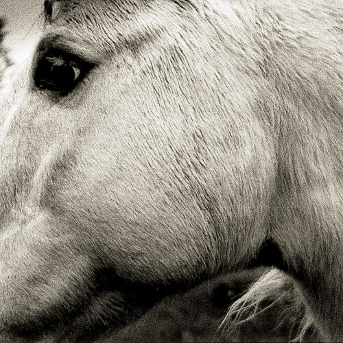 Bonny Light Horseman - The Sound of Vinyl