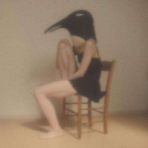 Penguin Cafe Orchestra-Tribute- / Various