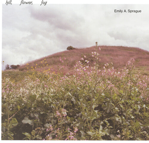 Hill Flower Fog