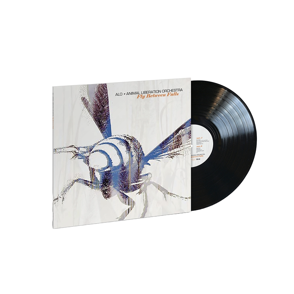 Fly Between Falls LP